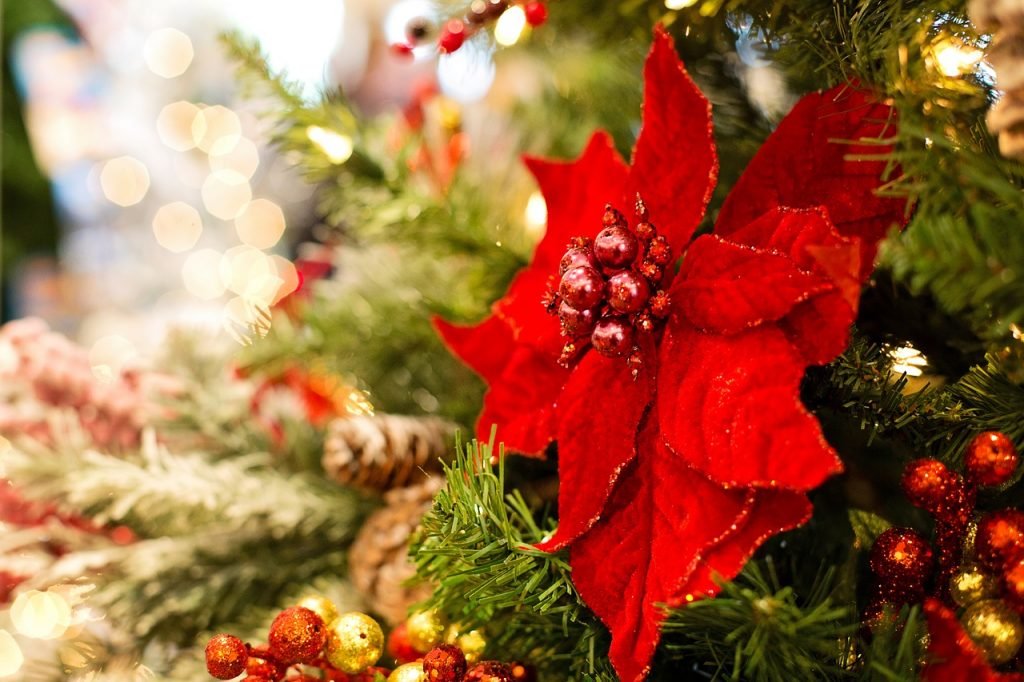 Chinesisches Horoskop Dezember 2018