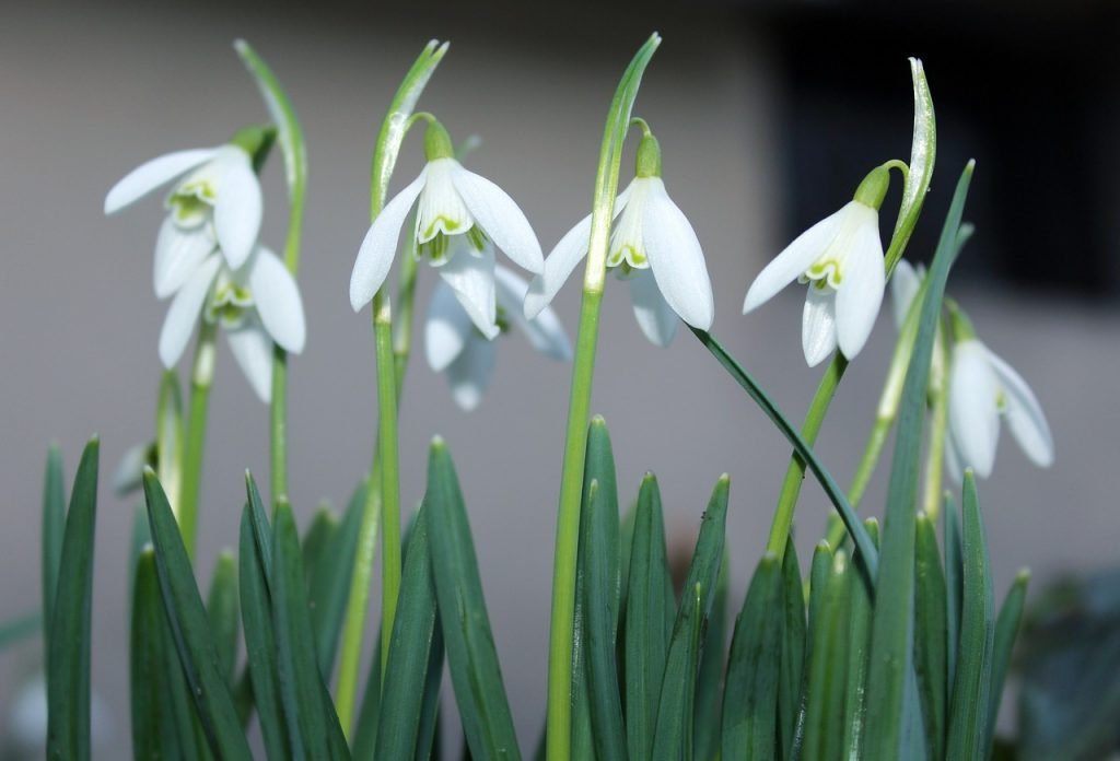 Wochenhoroskop (18. bis 24. Februar)