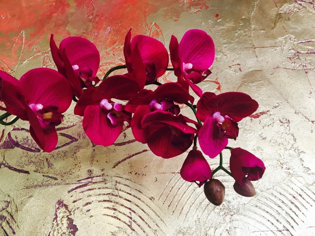 Chinesisches Horoskop August 2019